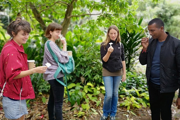 Local horticulturalist unlocking the Durban Botanical Gardens